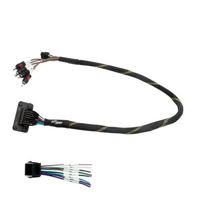RZR® Pro Series Ride Command Front & Rear RCA Output + Speaker Wire & Remote | UTVS-PRO-RC-RCA-OUT